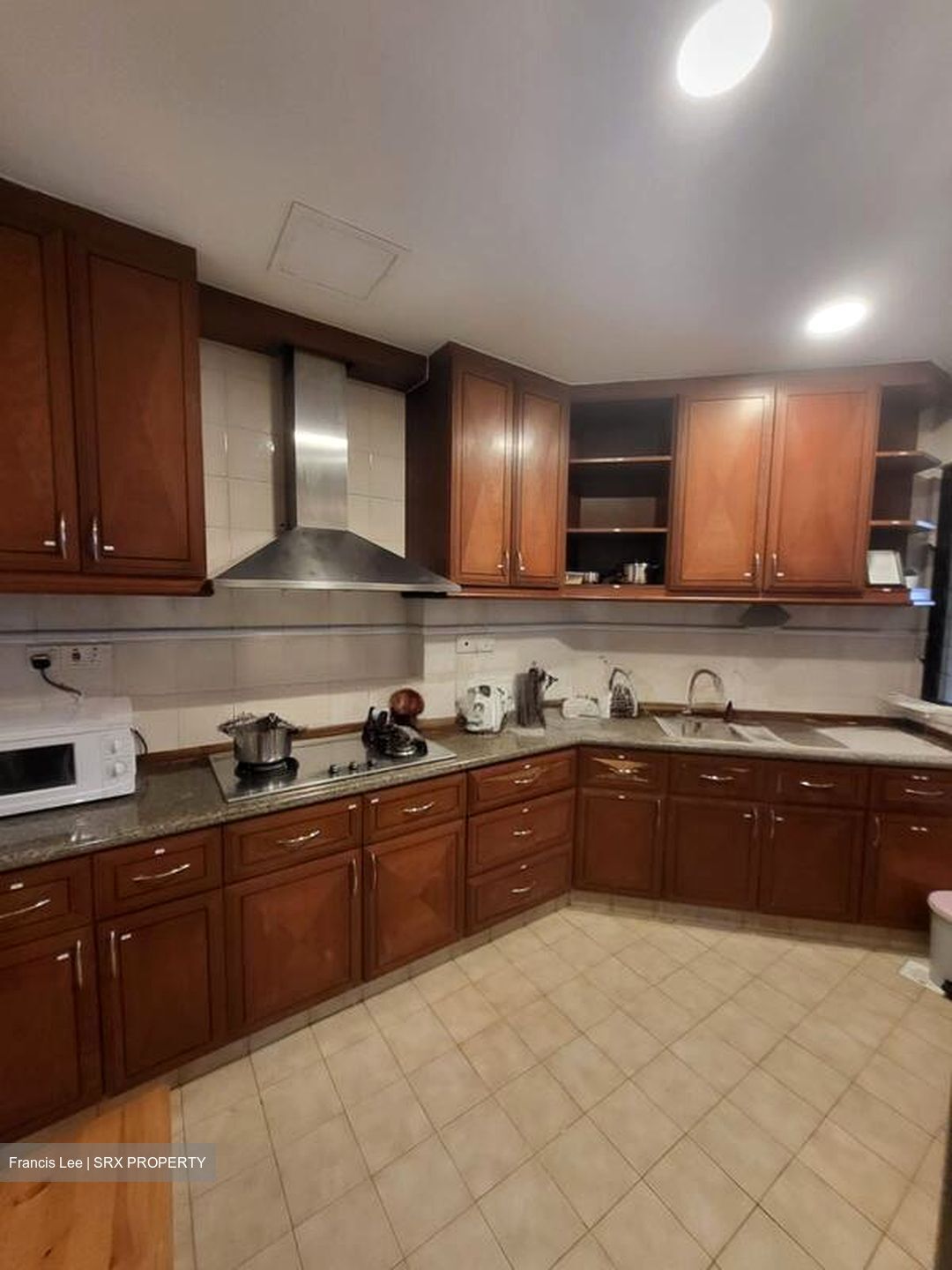 Dover Parkview (D5), Condominium #504295261